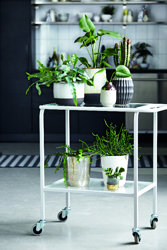 廚房設計風格：北歐風格